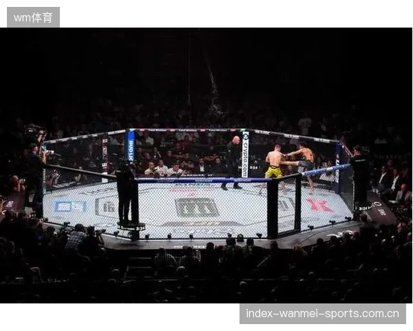 UFC地面压制连拿分数展示绝对主导——全面解析与实战训练